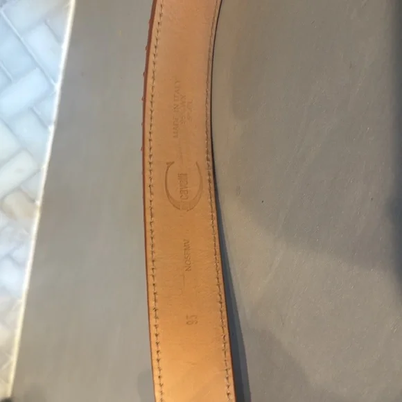 Just Cavalli Raffia Summer Tan Leather Belt with Gold Accents - Picture 3 of 9